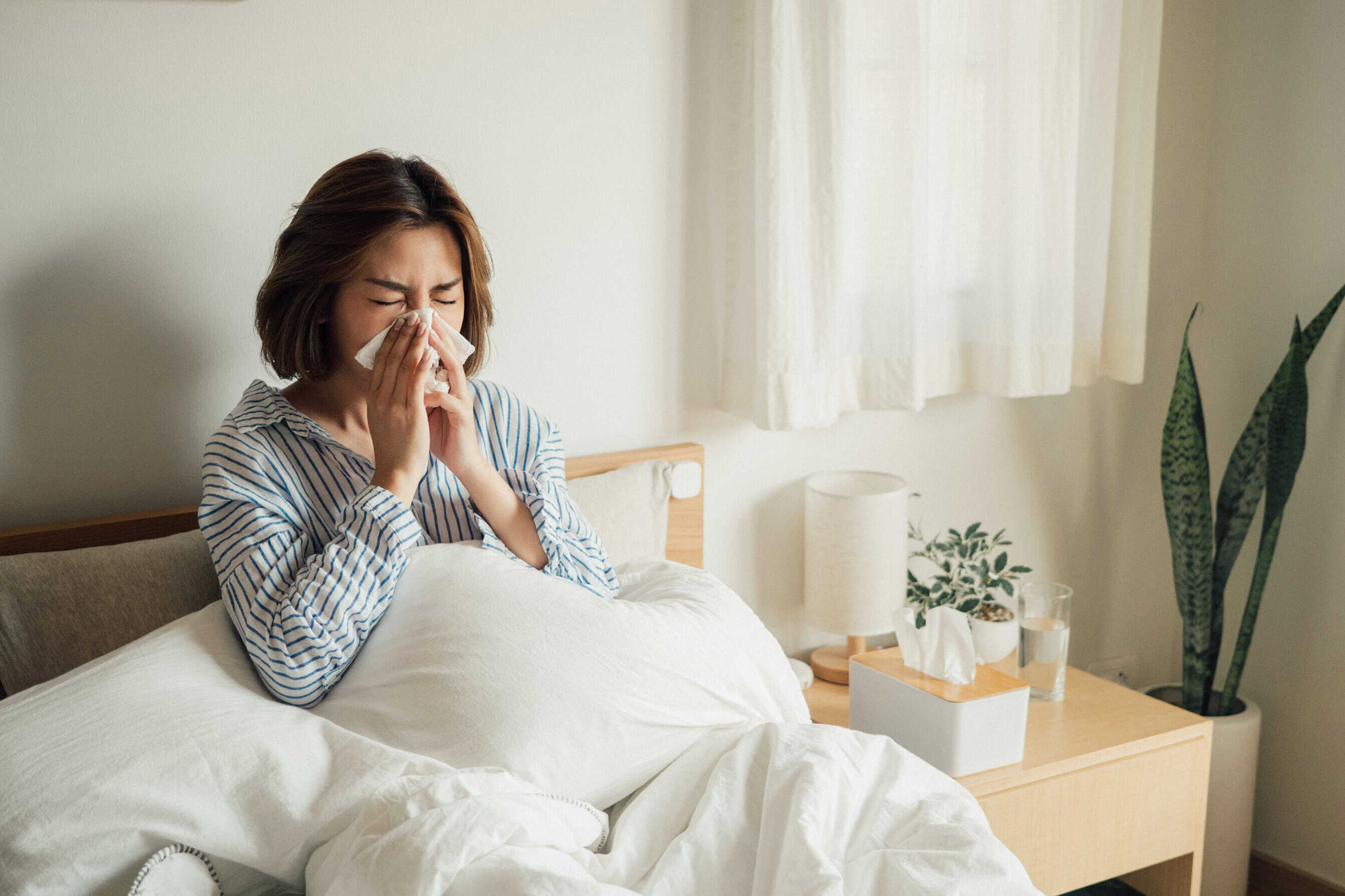 Wellness Corner 1 Allergies